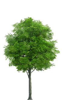 Vigo Call to action Img